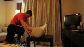 Mike Wilson Movement VLOG No 1 - What to Expect & Stretching