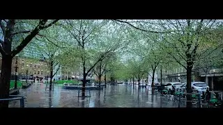 dog fountain park to St Lawrence market, Toronto downtown walk in rain | POV 4K