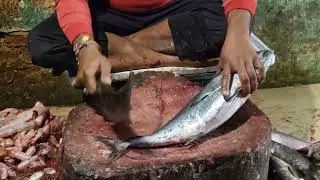 Amazing Tuna Fish Cutting Skills Baripada 🔥 Giant Tuna Fish Cutting Mayurbhanj #Stylish Fish Cutting