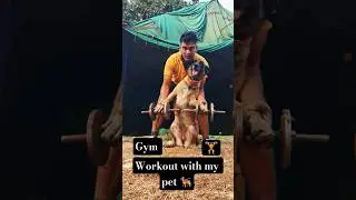 Gym workout 🏋️ #funny #shortfeed #dogtrainer #belgium #comedy #k9traner #dogshorts #fitdogs #gymdog