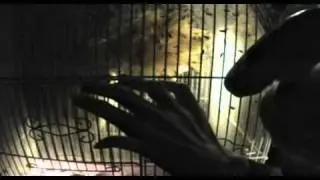 I'm a Celebrity... 2009 - Bush Tucker Trial - Gillian and Sheryl - Calamity Cave