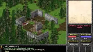 Eschalon: Book 1 I on Linux [Native] (AMD Radeon Catalyst fglrx)