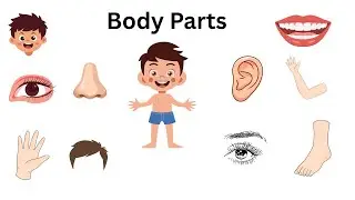 Parts of Body | Body Parts Name | Learning videos for kids | First words for babies | English vocab