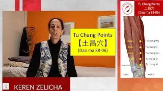 Master Tung's Tu Chang Acupuncture Points (Dao ma 88-06)