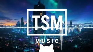 Acceleration　　　TSM music | EDM | Melodic Trance | Tech Trance | No Copyright Music