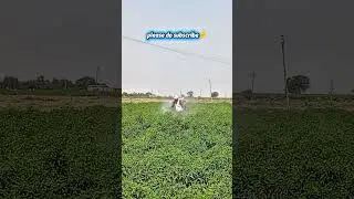 #farming #shortvideo #trinding #viral #video