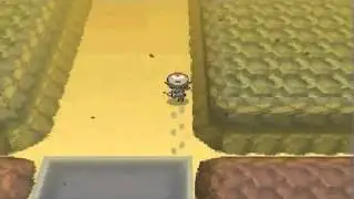 Hidden Rare Candy in Desert Resort - Pokemon Black and White