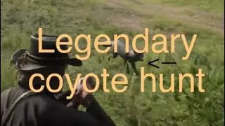 Hunting the legendary coyote in RDR2. 