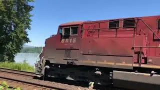 New Location!!!! CPKC 303 Grain Train @ Hydro BC Canada 08JUN25 CP ES44AC 8815 Leading