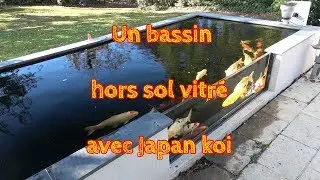 Un bassin hors sol vitré avec Japan koi