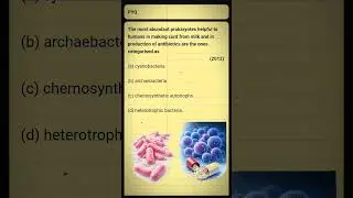 Useful Prokaryotes in Daily Life | NEET PYQ 2012 #class11biology #biology