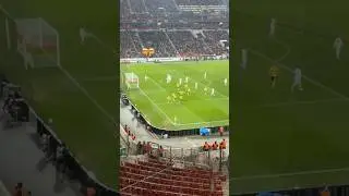 Lauper goal vs Stuttgart🤯🤯🤯⚽️#Eurogoal #youngboys #stuttgart #europaleague