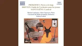Peter and the Wolf, Op. 67: And after them Grandfather, complaining, and the Cat