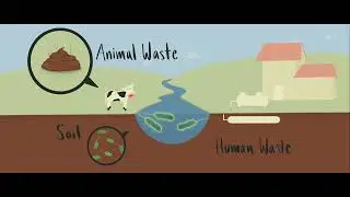 What are total coliform and E. coli tests?