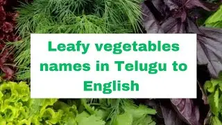పిల్లలకు  leafy vegetable names very  very easy నేర్పిస్తూ  parents కూడా నేర్చుకోవడానికి