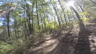 Allegrippis PA 9-17-15