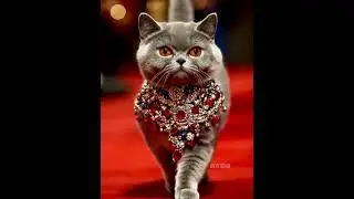 High-Fashion Cat Runway 🐈✨ Elegant AI Catwalk Show #shorts #aicatwalk