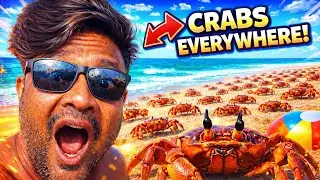 मालवणचे फिश मार्केट 😱 बीचवर इतके CRABS?! | Malvan Vlog Part 3