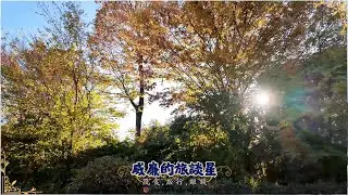 第一次來日本東京吉祥寺發現地圖上沒標註的浪漫秘境美到不想離開Kichijoji’s Unmapped Romance