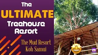 Koh Samui- 2021- EPIC Treehouse Resort- The Mud Resort
