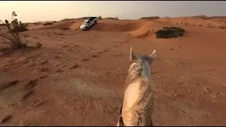 طلعه خفيفه مع خيل عسيف