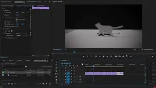 How to reverse a video in Premiere Pro | Dragonframe stop-motion post production | Beginner tutorial