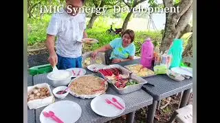 iMIC Synergy Development