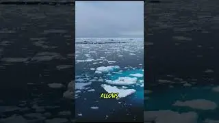 Why do glaciers move?