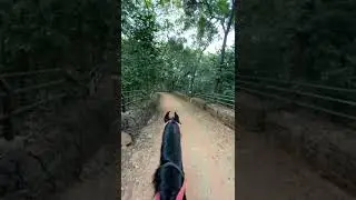Horse riding in Matheran