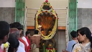 Shree Vadanbailu mukthi naga Swami mahamangalarathi 🙏 date:-18-01-2026