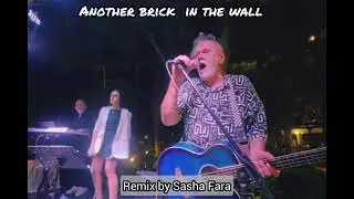 Another frick in the hole.Pink Floyd.(Remix by Sasha Fara)