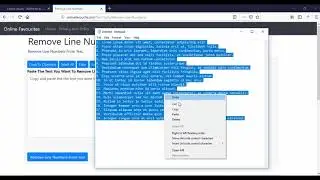 How To Remove Line Numbers From Text Video Tutorial