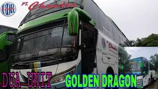 REVIEW BUS CHANDRA GOLDEN DRAGON DUA UNIT (Season 4)