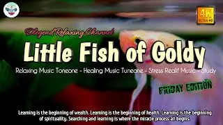 Little Fish of Golfy: relaxing music tuneone | healing music tuneone, study, Stress Relief.