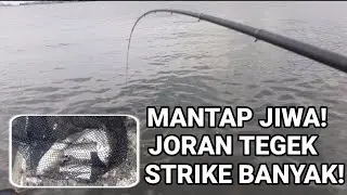 Tes joran tegek di laut langsung amis!!! micro fishing | spot pltu batu tahu ancol