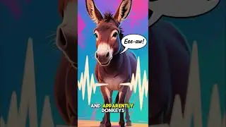 Weird Arizona Law: Donkeys Banned from Bathtubs?  #uslaw