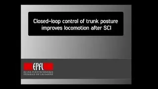 Closed-loop control of trunk posture improves locomotion after SCI