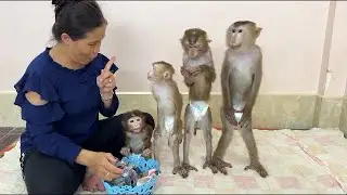 Mom Best Teaching 4 Siblings To Be Patient Waiting Mom To Dress Up For Them ,