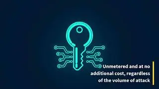 OVHcloud&reg; Anti-DDoS Protection