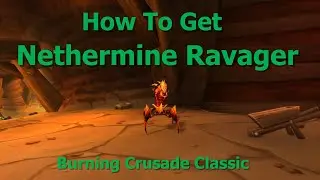 How To Get Nethermine Ravager--Hunter Pet Level 70.--TBC Classic