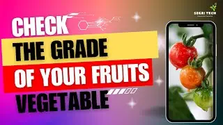 Necessity of Automatic Grading Systems