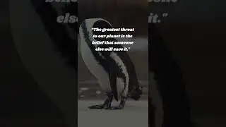 Please, don't be a threat-quotes #shorts #shortsvideo #quotes #animals #nature