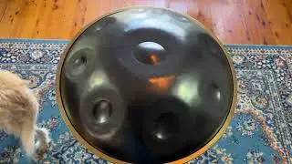 RAV VAST Pan Drum