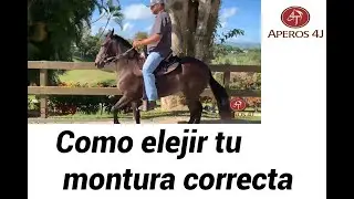 Relincho #17 Como elegir la montura ideal
