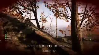 Bfv