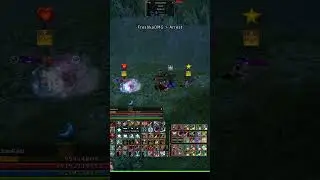 L2 AMERIKA H5 Shillien Knight (SK) #sk #shilienknight #pvp #lineage2highfive #mmorpg #siege #boss