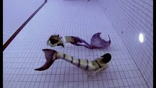 Peaceful swimming around