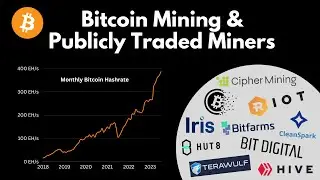 Bitcoin Spot or Bitcoin Miners - Which is a Better Buy and Hold?