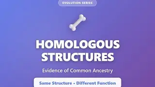 Homologous Structures: Evidence of Common Ancestry | Evolution Explained