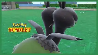 Random Shiny Zweilous (full odds) in Pokemon Scarlet and violet